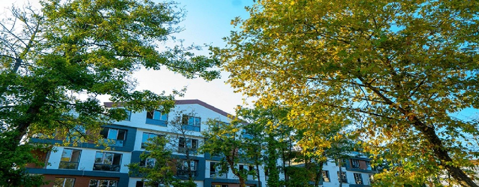 Property with combination of sea and forest views - Image 5