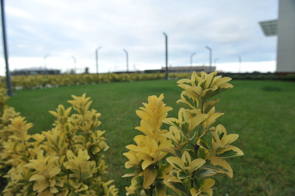 The most famous apartment in Trabzon suitable for investment - Image 4